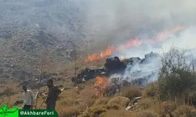 آتش‌سوزی در ارتفاعات شهرستان راین کرمان