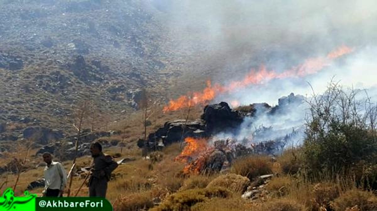 آتش‌سوزی در ارتفاعات شهرستان راین کرمان