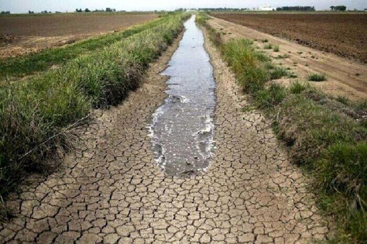 خشکسالی یک‌ هزار و ۲۴۰ میلیارد ریال خسارت به کشاورزی شازند وارد کرد