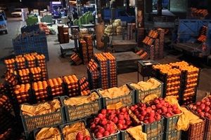 کدام محصول کشاورزی ایران بیشترین طرفدار را در جهان دارد؟