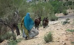 کاهش نگران کننده آمار جامعه عشایری کهگیلویه و بویراحمد در ۳۰ سال اخیر