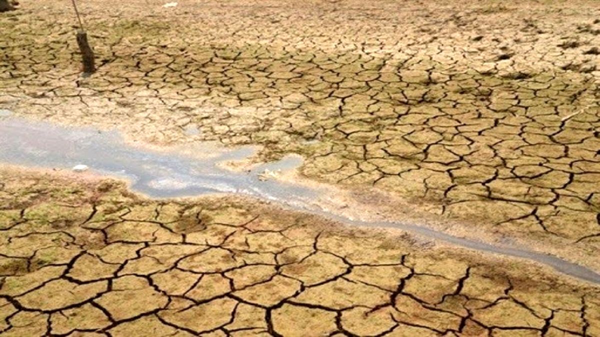جوابیه ای بر یک جوابیه!