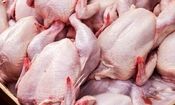 توقیف بیش از ۴۱ تن محموله مرغ و گوشت منجمد در همدان