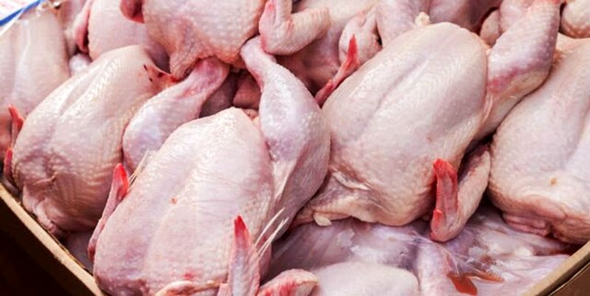 توقیف بیش از ۴۱ تن محموله مرغ و گوشت منجمد در همدان