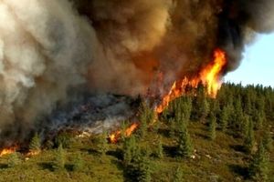 تداوم آتش‌سوزی در جنگل‌های ارسباران/ بالگردها منطقه را ترک کردند