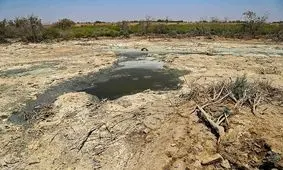 آخرین وضعیت تالاب هورالعظیم بعد از رهاسازی آب از سد کرخه/ تغییر محسوسی در حوضچه‌ها حاصل نشد‌