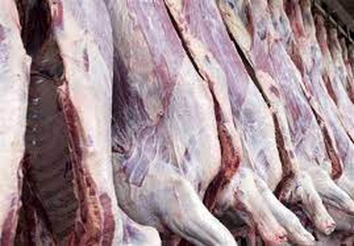 چرا گوشت باید کیلویی ۱۵۰ هزار تومان به دست مصرف کننده برسد؟