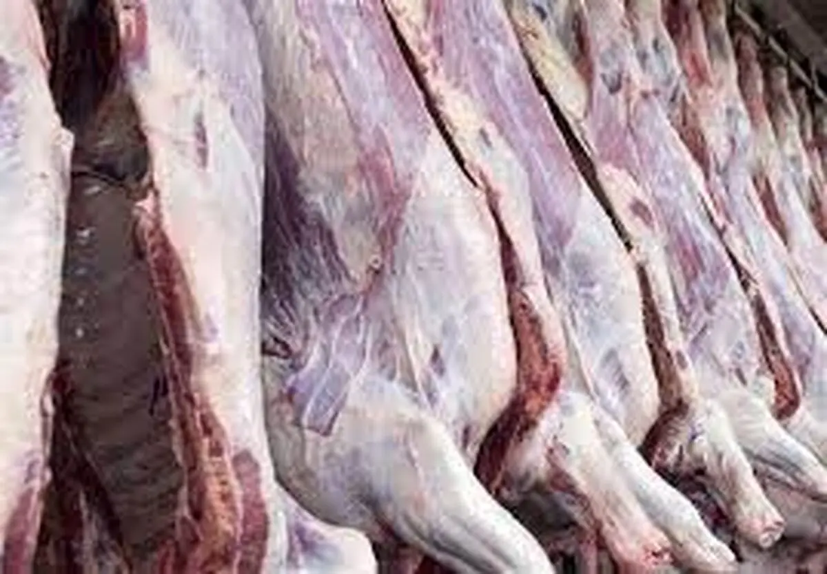 چرا گوشت باید کیلویی ۱۵۰ هزار تومان به دست مصرف کننده برسد؟