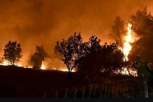 آتش سوزی جنگل‌های ارسباران اطفا شد