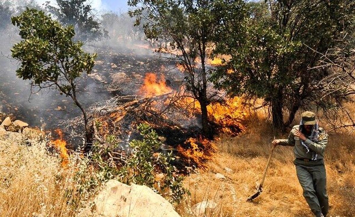 کاهش هزار درصدی آتش‌سوزی مراتع درهمدان