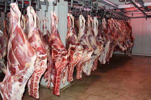 افزایش ۵۰ درصدی قیمت گوشت طی یک سال/ واردات ۲۲ میلیون دلاری