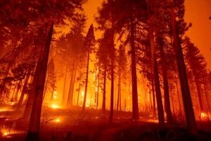 ادامه حریق‌های جنگلی در کالیفرنیا و تخلیه ۱۰ هزار سکنه دیگر