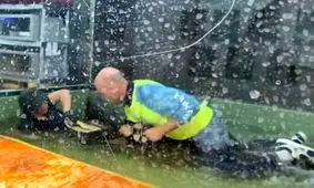 لحظه وحشتناک حمله تمساح به یک زن در باغ وحش(18+)