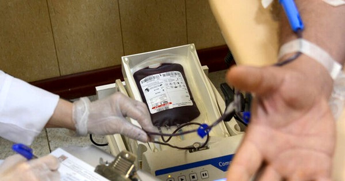 رشد ۲۸ درصدی اهدای خون در دهه اول محرم در یزد