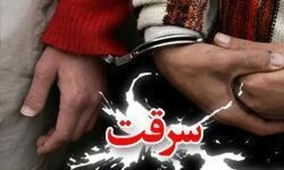 مشتری که سارق از آب در آمد