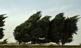 وزش باد و گرد و خاک در مرز شرقی خراسان جنوبی شدت می‌گیرد