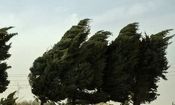 وزش باد و گرد و خاک در مرز شرقی خراسان جنوبی شدت می‌گیرد