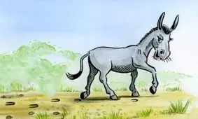 داستان جالب خر دانا