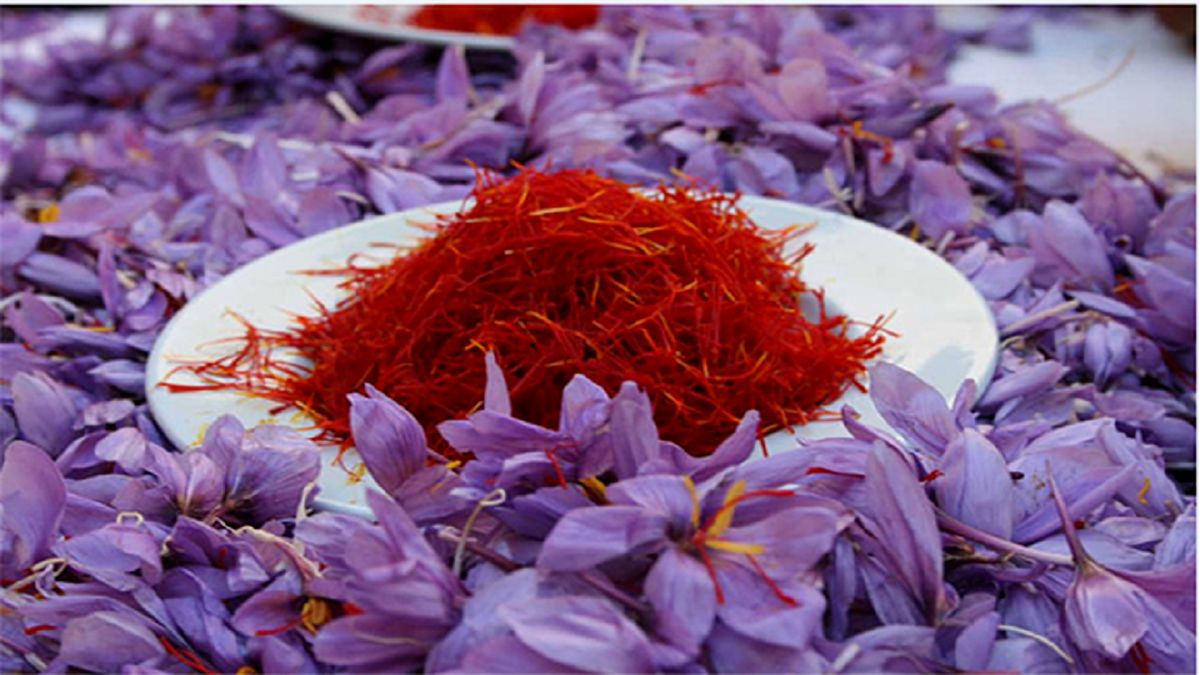 زعفران گران شد