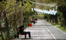 دلیل تیراندازی در بلوار کشاورز