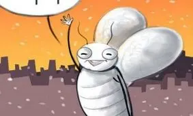 فراخوان مگس های سفید برای مهاجرت به تهران