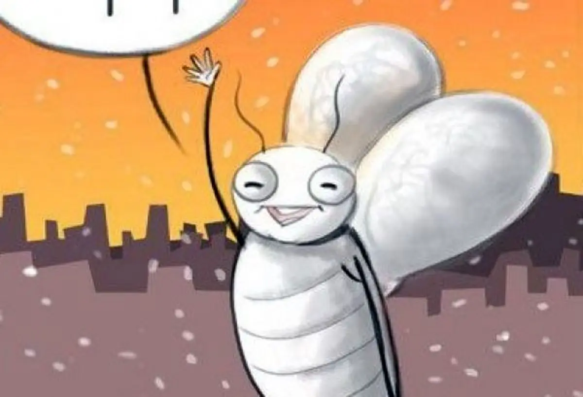 فراخوان مگس های سفید برای مهاجرت به تهران