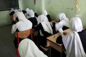 طالبان آموزش مختلط در دانشگاه‌های هرات را ممنوع کرد/ ملا فرید: این اختلاط ریشه تمامی بدی‌ها در جامعه است