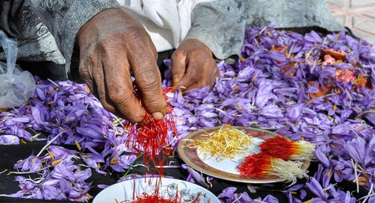 طلای سرخی که در ایران رنگی ندارد