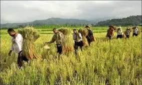 8 درسی که کارآفرینان می توانند از کشاورزان یاد بگیرند