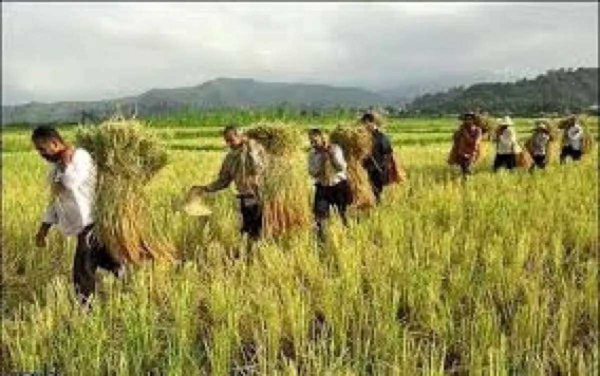 8 درسی که کارآفرینان می توانند از کشاورزان یاد بگیرند