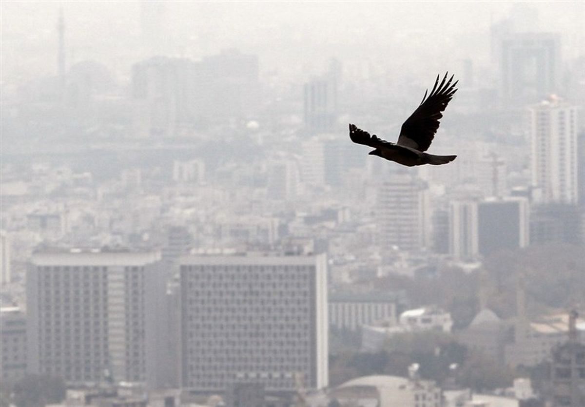 بازگشت آلودگی به هوای کلانشهر شیراز/ گروه‌ های حساس امروز در خانه بمانند