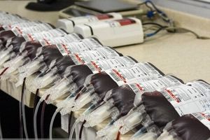 رشد ۴ درصدی اهدای خون کهگیلویه و بویراحمدی‌ ها در تاسوعا و عاشورا
