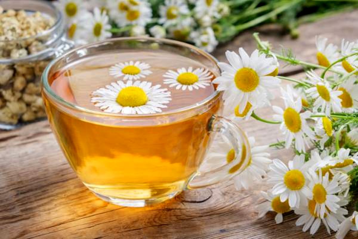 دمنوشهای گیاهی برای سلامتی و شادی