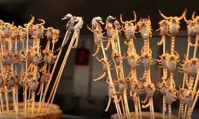 خوردن این غذا‌ها کار هر کسی نیست/ ویدئو