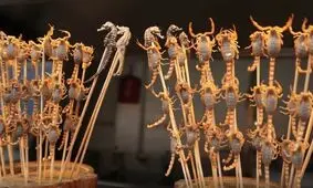 خوردن این غذا‌ها کار هر کسی نیست/ ویدئو