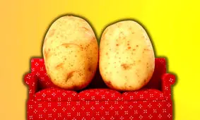 رشد ۱.۵ برابری سیب زمینی و برنج با پروتئین انسان!