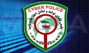 نرم افزاری که دردسرساز شد/ کلاهبردار مجازی در دست پلیس