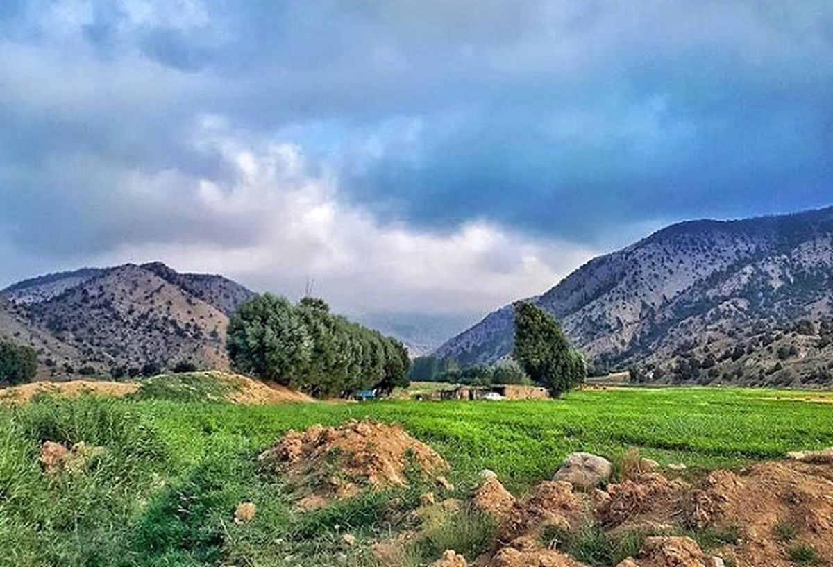 عصری زود قُرُق شد، زنها آمدند و خیلی خنده و صحبت شد