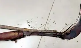 دایی تالشی خواهرزاده اش را با داس به قتل رساند