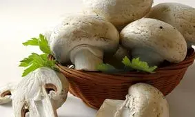 روش صحیح شستن قارچ