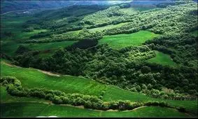 تعرض به تنها جنگل جلگه ای هیرکانی در گیلان