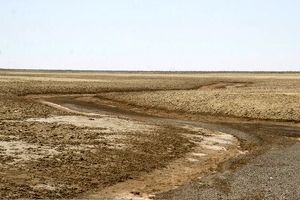 ۹۸ درصد از تالاب بین المللی گاوخونی خشک است