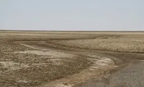 ۹۸ درصد از تالاب بین المللی گاوخونی خشک است