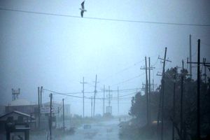 طوفان آیدا به لوئیزیانای آمریکا رسید؛ بیش از 100 هزار نفر در خاموشی به سر می‌برند