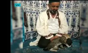 گربه‌ ای که با امام جماعت در حال تلاوت قرآن بازی می‌کند/ ویدئو