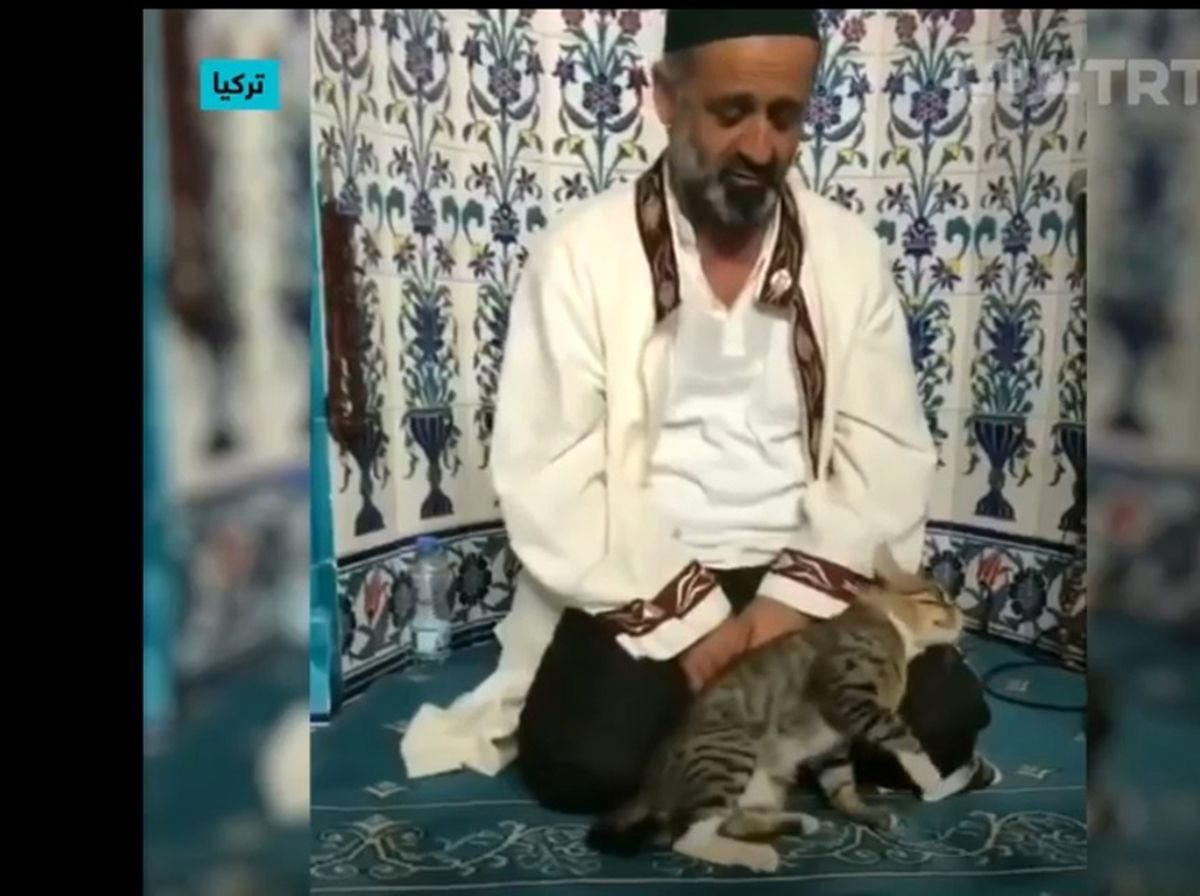 گربه ای که با امام جماعت در حال تلاوت قرآن بازی میکند/ ویدئو