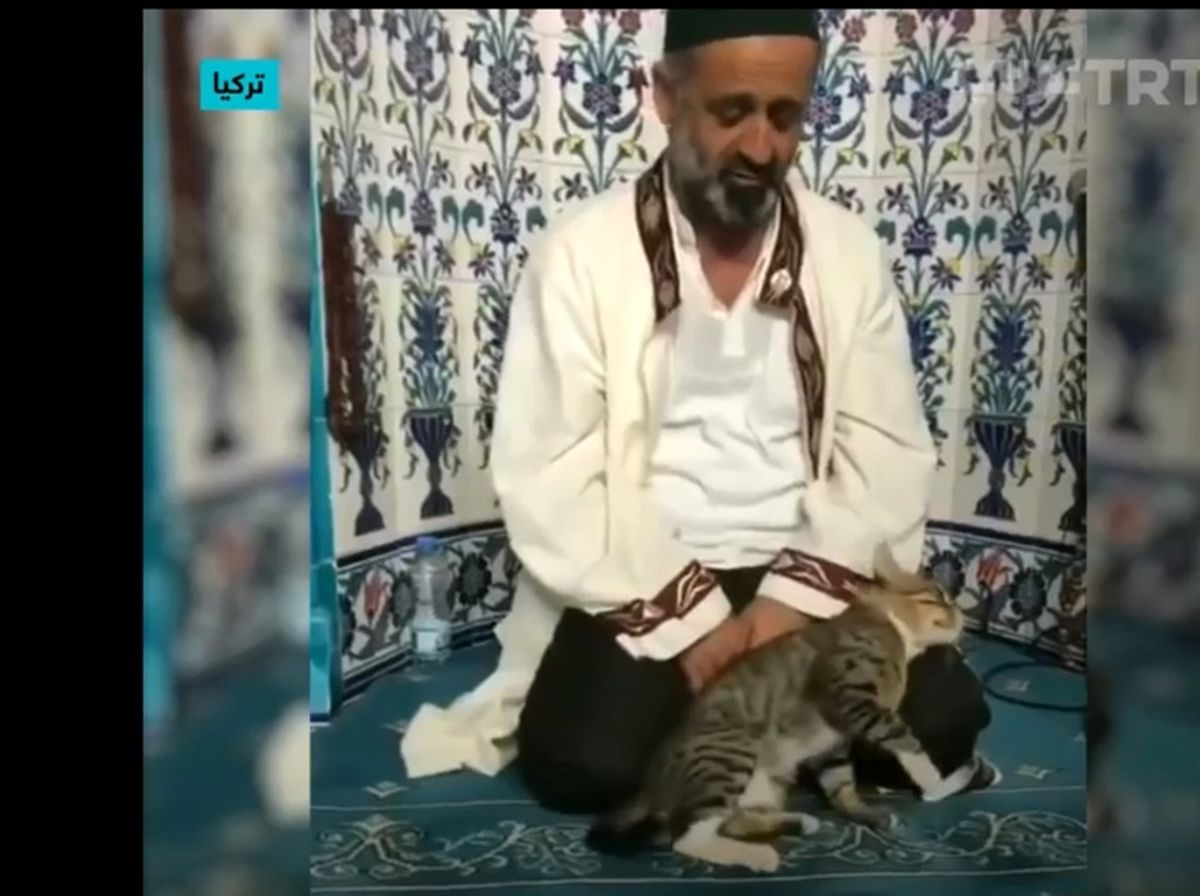گربه‌ ای که با امام جماعت در حال تلاوت قرآن بازی می‌کند/ ویدئو