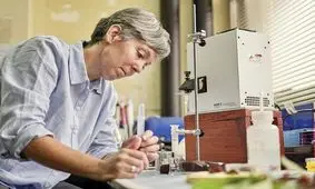 تولید برق از گل و میوه!