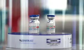 کارکنان «برکت» واکسن چینی سینوفارم زده‌اند؟