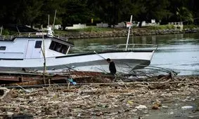 آلودگی پلاستیکی، تهدید جدی برای گونه های جانوری مهاجر